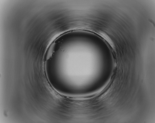 X0000096451340200801311442