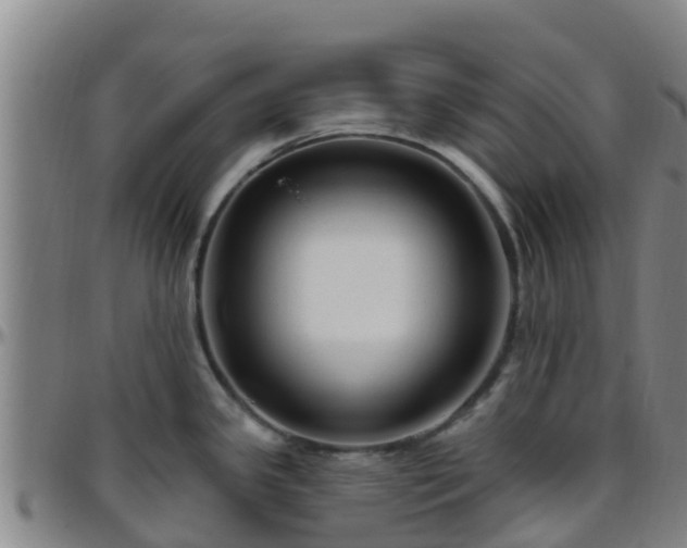 X0000096451341200801311442