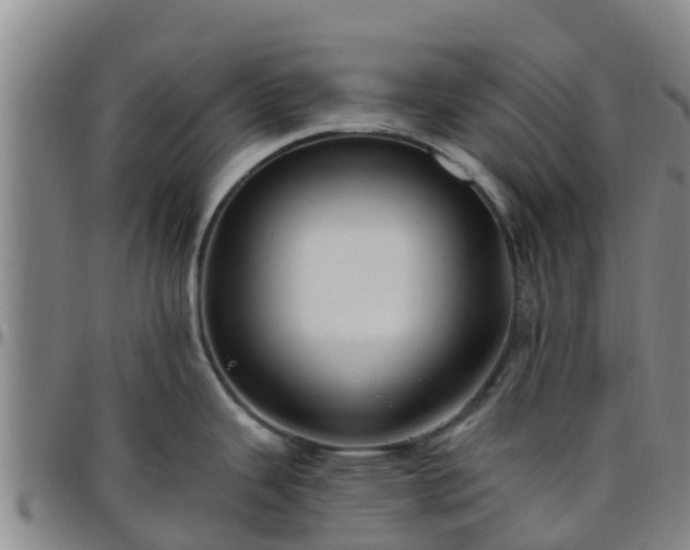 X0000096451343200801311442