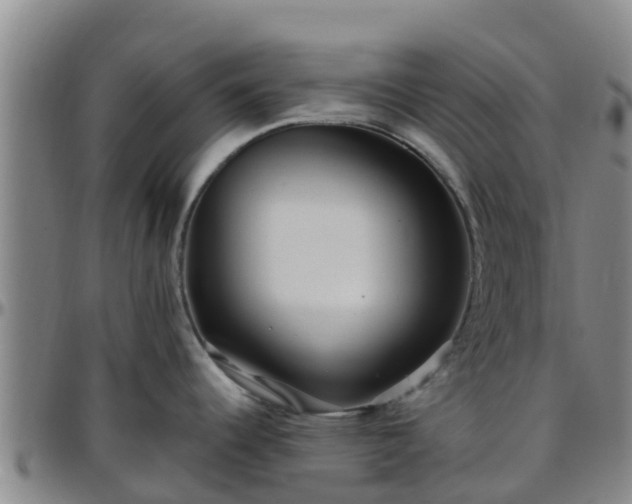 X0000096451344200801311442