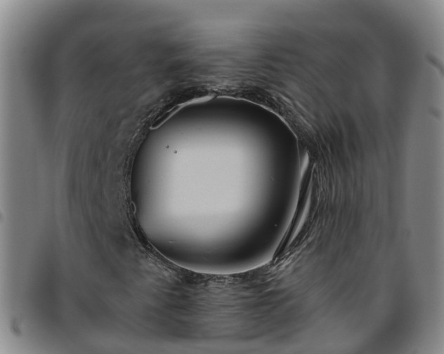 X0000096451345200801311441