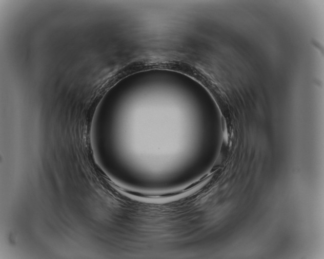 X0000096451348200801311441