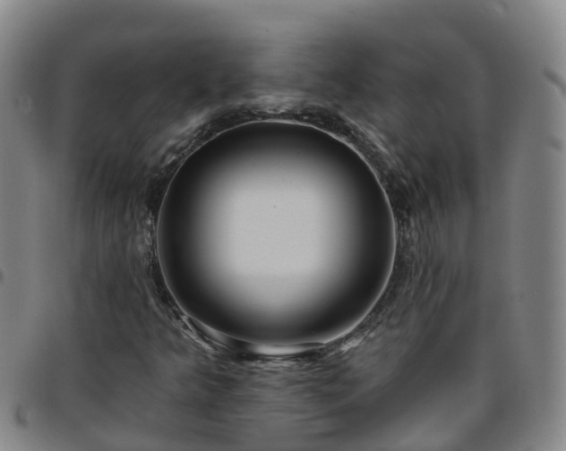 X0000096451349200801311441