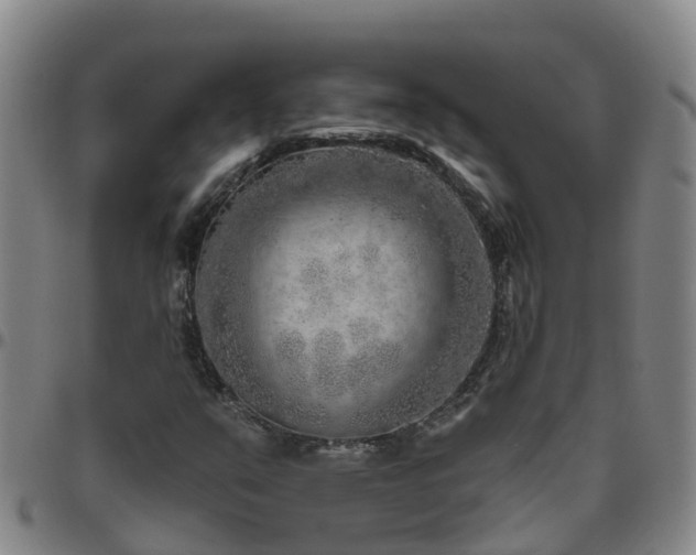 X0000096451351200801311441
