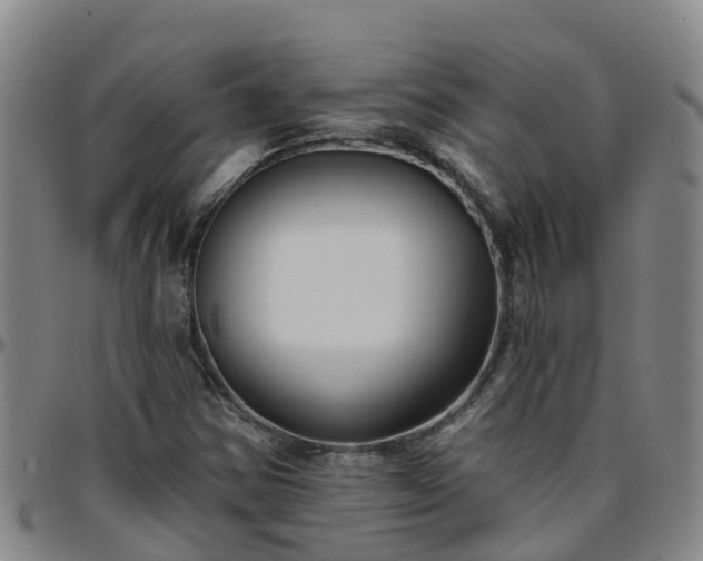X0000096451354200801311441