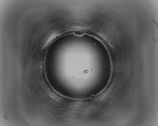 X0000096451355200801311441