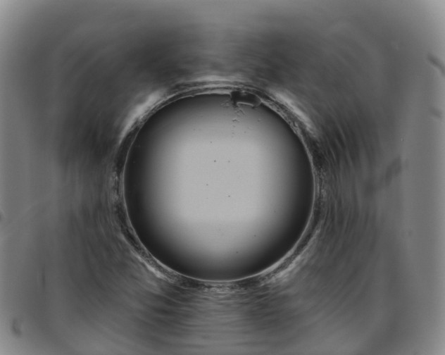 X0000096451357200801311441