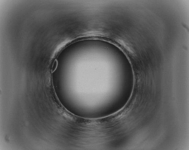 X0000096451358200801311441