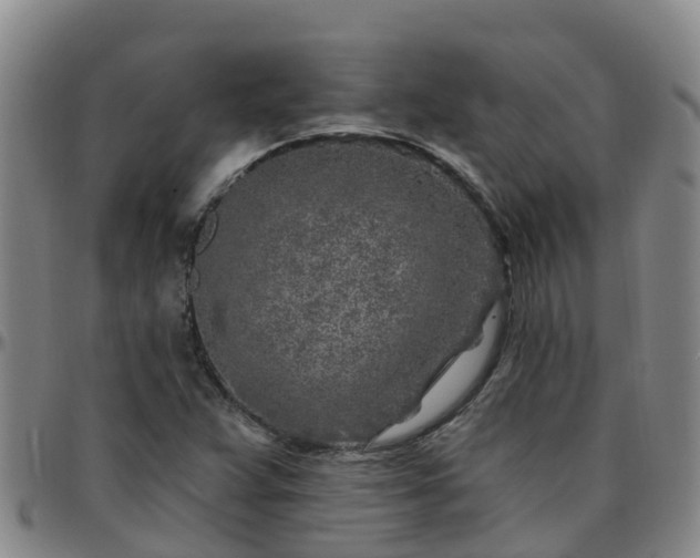 X0000096451359200801311441