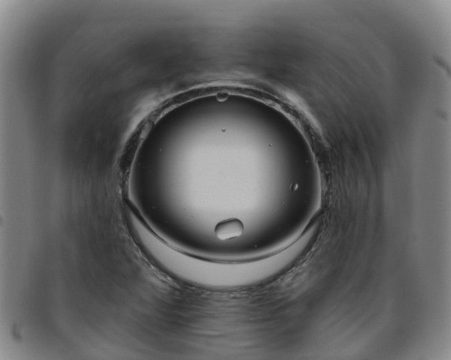 X0000096451360200801311441