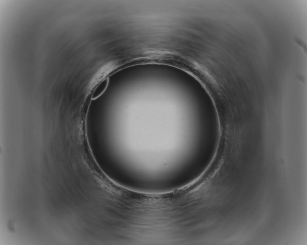 X0000096451362200801311441