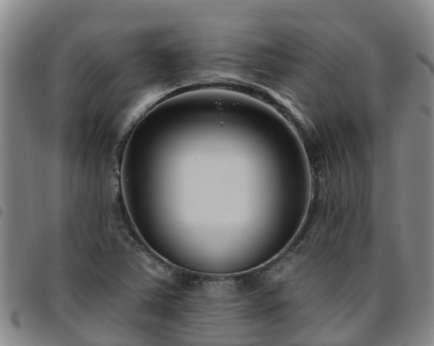 X0000096451363200801311441