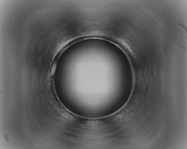 X0000096451364200801311441