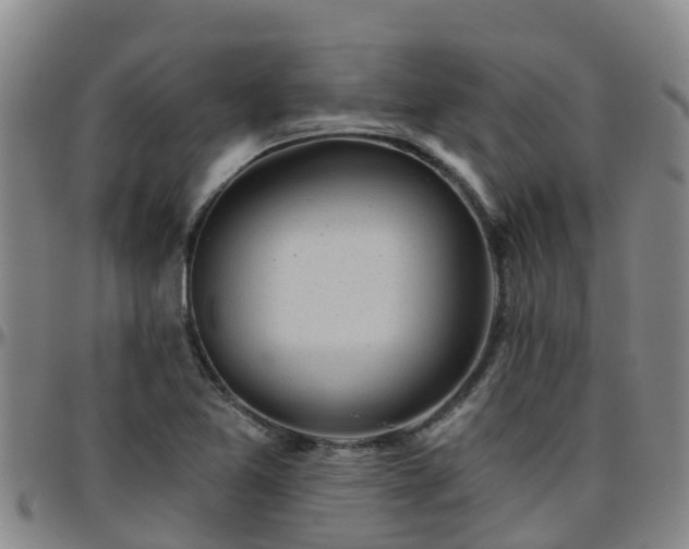 X0000096451365200801311441