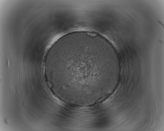 X0000096451367200801311441