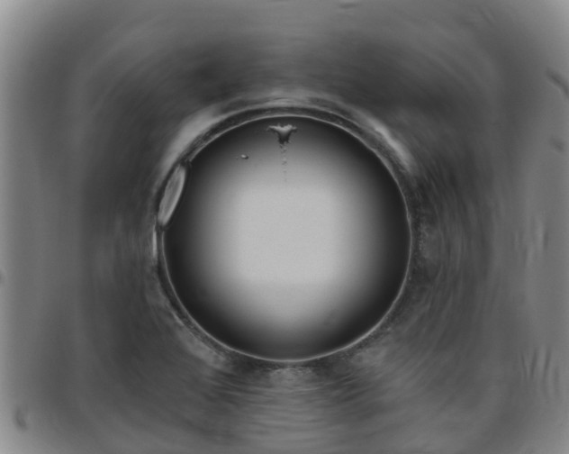 X0000096451368200801311441
