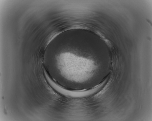 X0000096451369200801311441