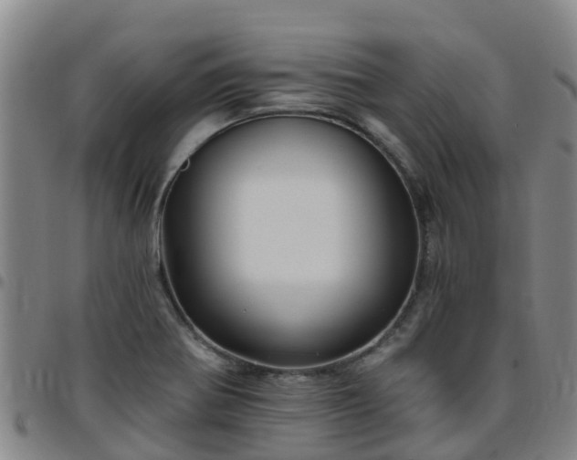 X0000096451370200801311441