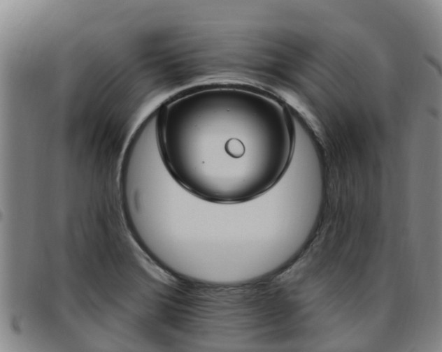 X0000096451372200801311441