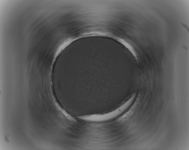X0000096451373200801311441