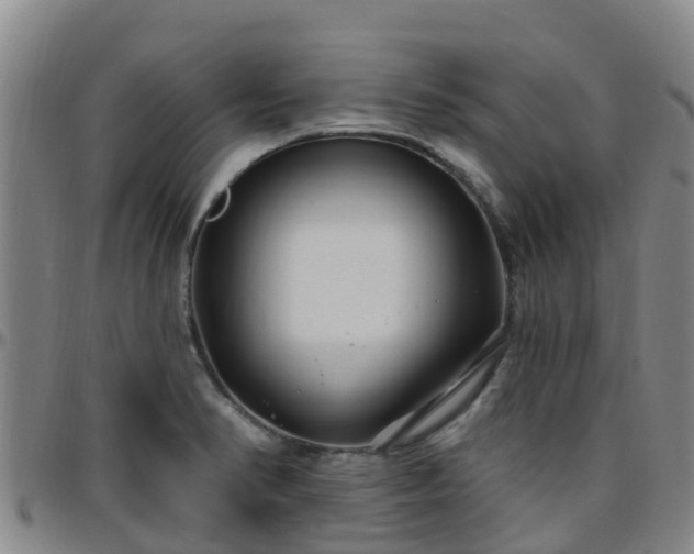 X0000096451374200801311441