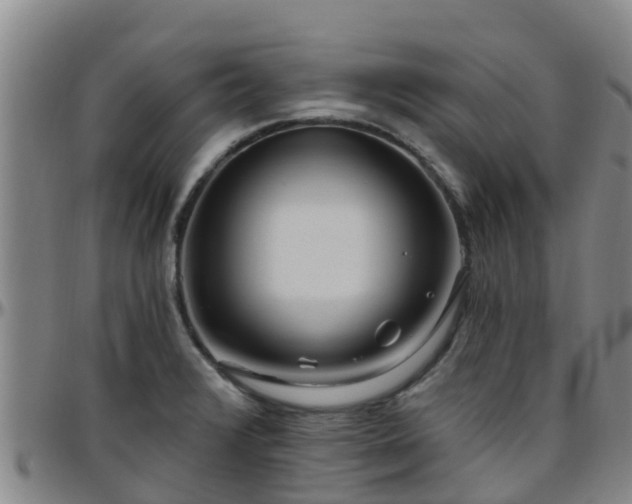 X0000096451376200801311441