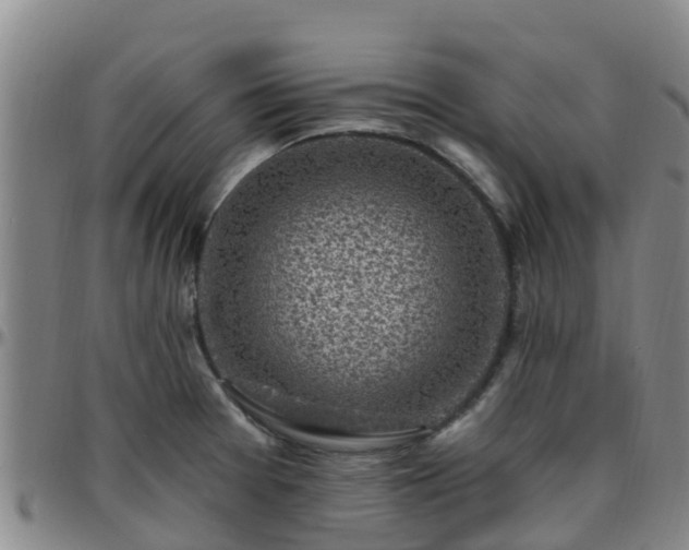 X0000096451377200801311441