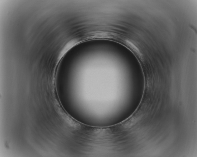 X0000096451378200801311441