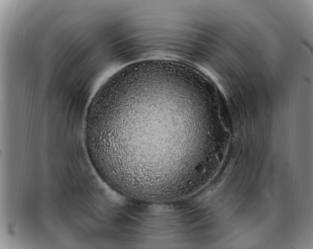 X0000096451379200801311441