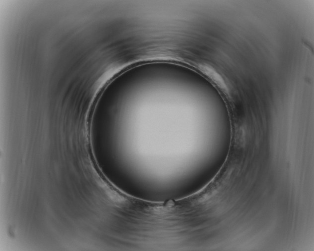 X0000096451380200801311441