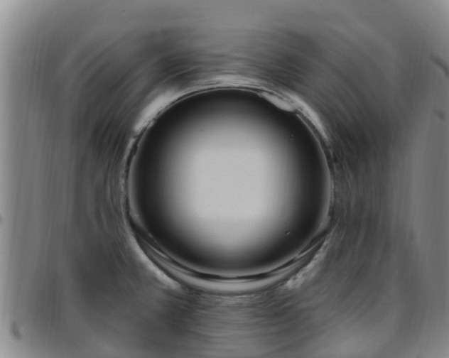 X0000096451381200801311441