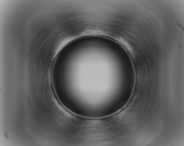 X0000096451382200801311441