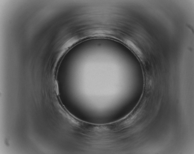 X0000096451384200801311441