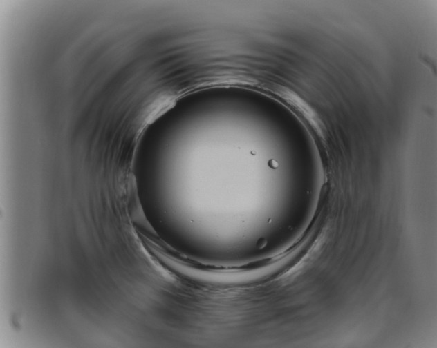 X0000096451385200801311441
