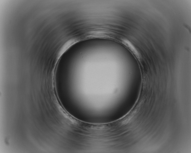 X0000096451386200801311441