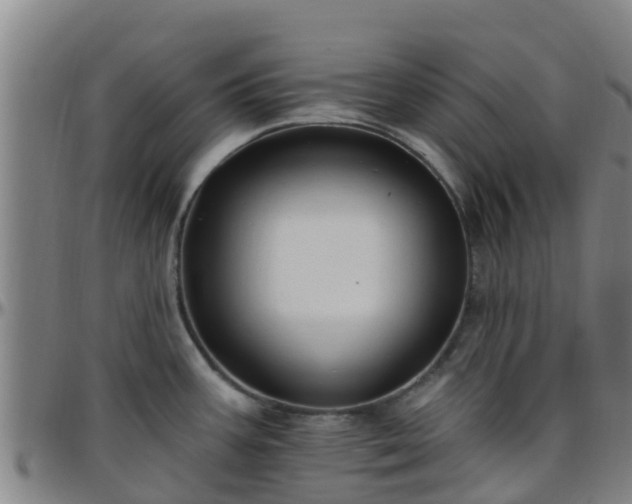X0000096451387200801311441