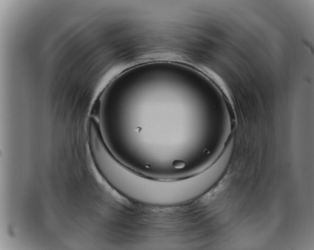 X0000096451389200801311441