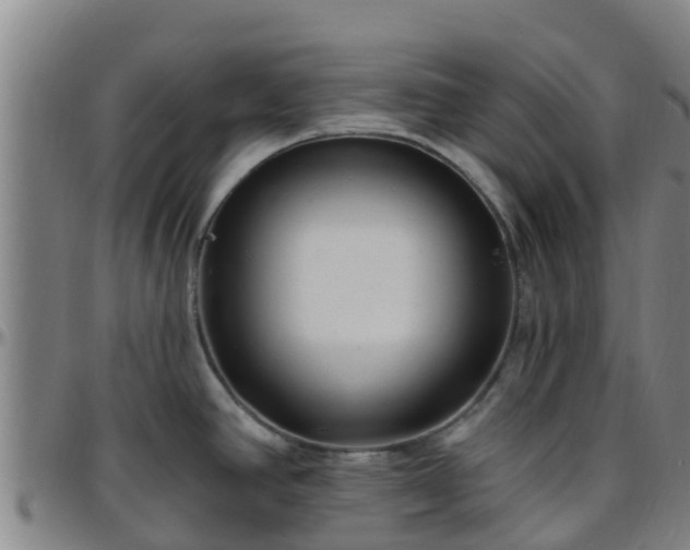 X0000096451390200801311441