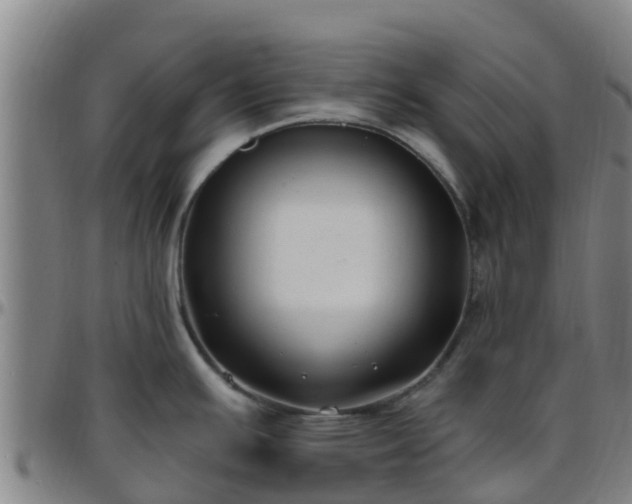 X0000096451391200801311441