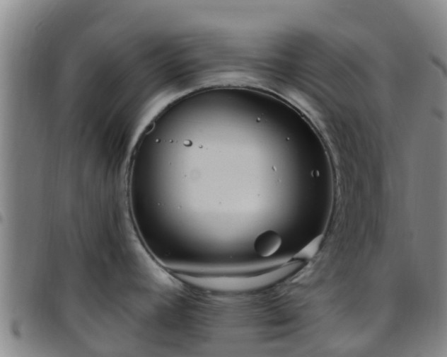 X0000096451392200801311441