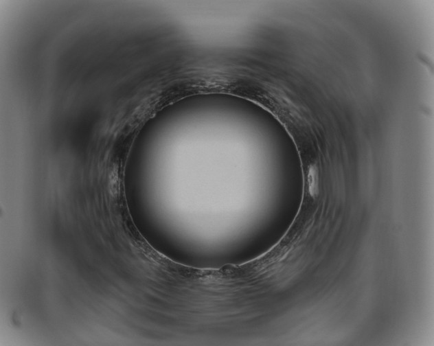 X0000096451395200801311440