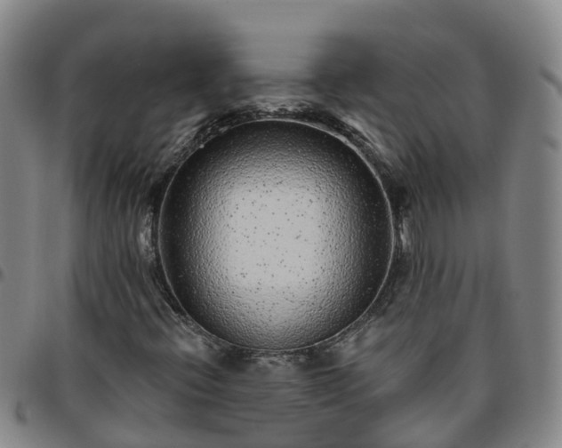 X0000096451396200801311440