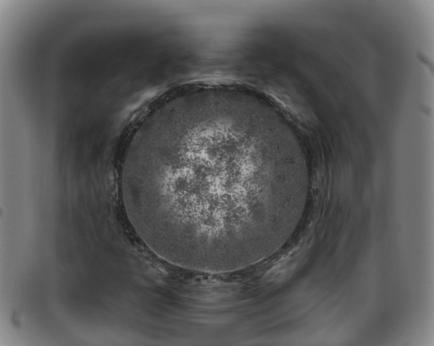 X0000096451398200801311440