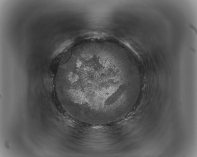 X0000096451399200801311440