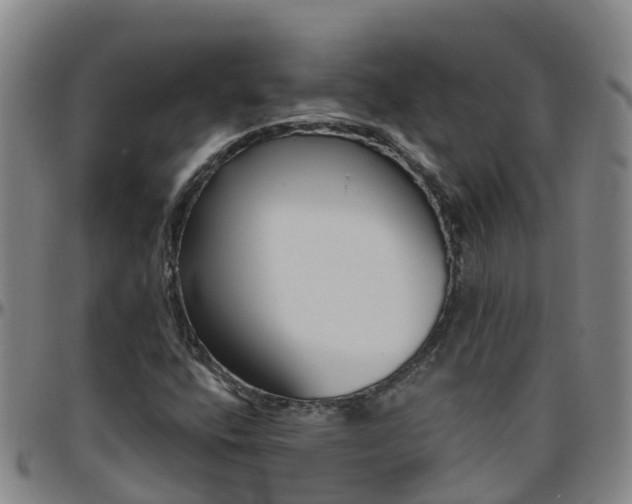X0000096451400200801311440