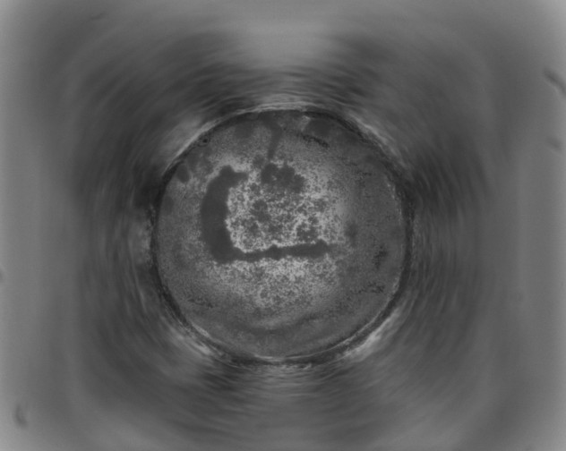 X0000096451401200801311440