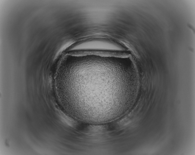 X0000096451402200801311440