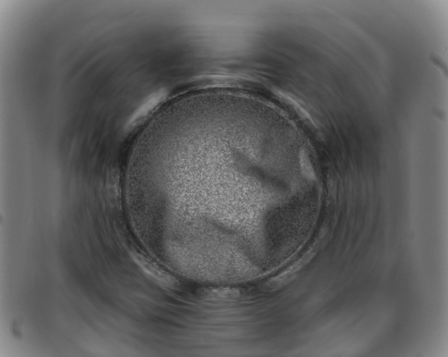 X0000096451403200801311440