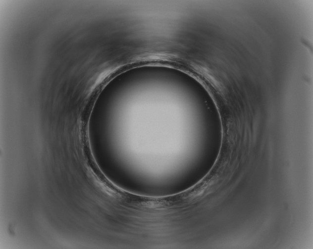 X0000096451404200801311440