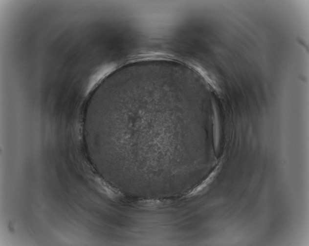 X0000096451405200801311440